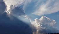 Photo by Todd Quackenbush on Unsplash