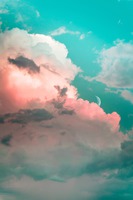 Photo by Szabo Viktor on Unsplash