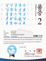 Poom (Jr. Black Belt) Certificate: Under 15 Years of Age