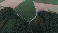 www.unsplash.com