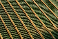 www.unsplash.com