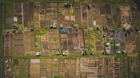 www.unsplash.com