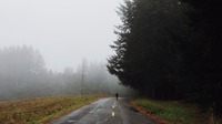 www.unsplash.com
