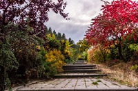 www.unsplash.com