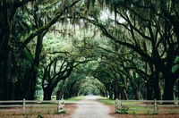 www.unsplash.com