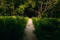 www.unsplash.com
