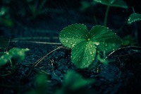 www.unsplash.com