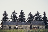 www.unsplash.com