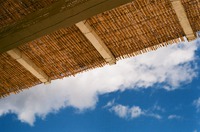 www.unsplash.com