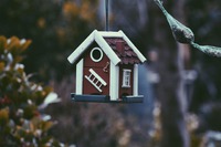 www.unsplash.com