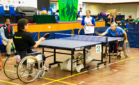 https://www.dreamstime.com/photos-images/table-tennis-wheelchair.html
