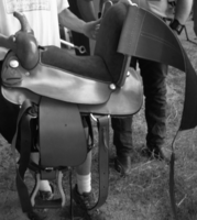 https://musculoskeletalkey.com/sports-adaptations-for-the-physically-challenged-athlete/