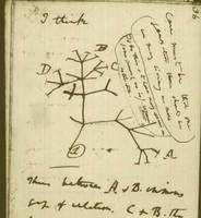 Ch. Darwin: Skica evolučního stromu z Darwinova zápisníku