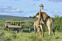 Shamwari Private Game Reserve
