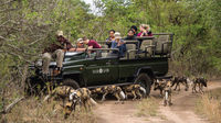 Sabi Sands Game Reserve