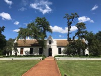 Spier Vineyard