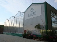 Markovo zahradnictví v Ostravě - Plesné