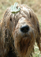 foto: Adriaan van Wijck
