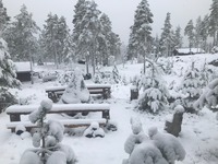 1. mai stemning på Heia