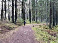 Tampere, Peltolammi.