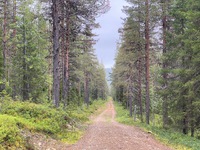 Paluumatkalla päästiin oikein leveää tietä pitkin.