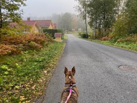 Pirkkalan Toivion asuinalueella. Tupsahdimme metsäpolulta tähän.