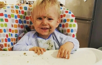 Babys erste B(r)eikost