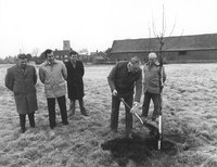 Councillors planting a tree to commemorate the Queen Mother's 80th birthday