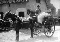 Delivery cart, Stebbings of Bracon Ash