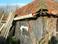 Clay lump barn by the Tower Mill - in a sad state and getting worse.
