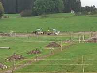 Die Heufütterung auf dem Stutentrail