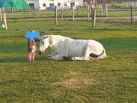 Unglaubliche Freundschaft