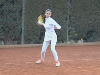 Colavita Sofia 4.2