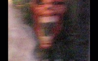 Harmonian Korina / Harmony Korine 2019 / Jade Vesto