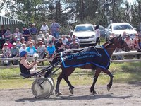 Vex Ant Hope, Helluntairavit 2019