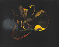 Lacoste 3 October 2016 ( oil on paper, 50x65 cm)