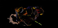Lacoste 14 October 2013 (oil on aluminum, 50x100)