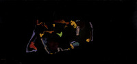 Lacoste 20 October 2013 (oil on aluminum, 50x100)