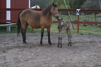 1 dag gammal Grace med sin fina mor