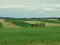 Konfliktberatung