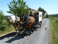 Transport de personnes