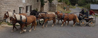 Attelage à 6 chevaux mené par Laurent Couve