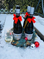 První adventní neděle = první láhev vypitá