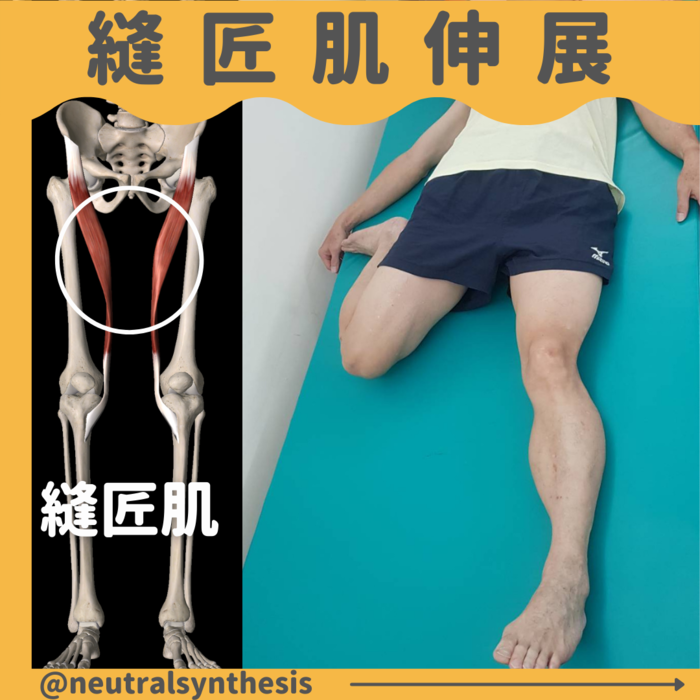 你喜歡翹腳嗎 大腿胯下時常疼痛 Neutralsynthesis