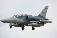 L-159T1 na RIAT 2008 (autor: Tim Felce)
