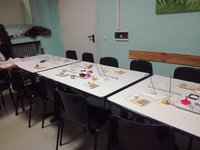 laboratorio biscotti, cup cake