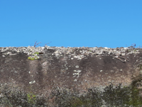 (Resto de piedras de personas que han realizado la leyenda)