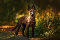 Kuva: Aino Vakkilainen