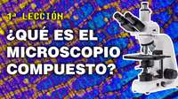 Curso Microscopio Compuesto - Video 1