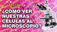 Curso Microscopio Compuesto - Video 4